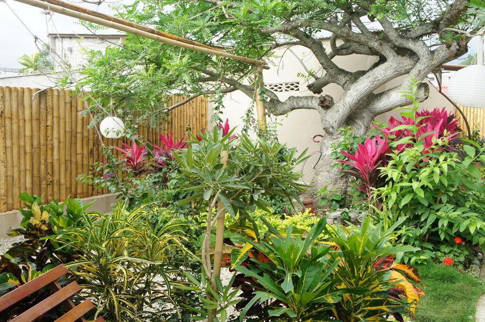 Rincon D'Olon Boutique Hotel Exteriör bild